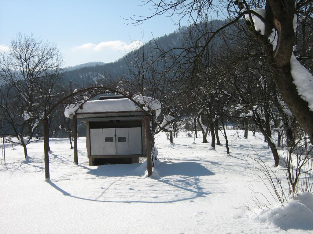 Apartman Gomirje Vrbovsko Exterior foto